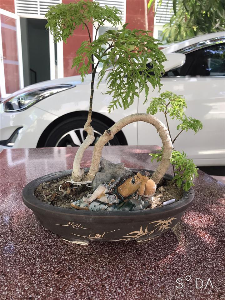 Bán đất đường hà huy tập, diên khánh, khánh hoà có thổ cư
