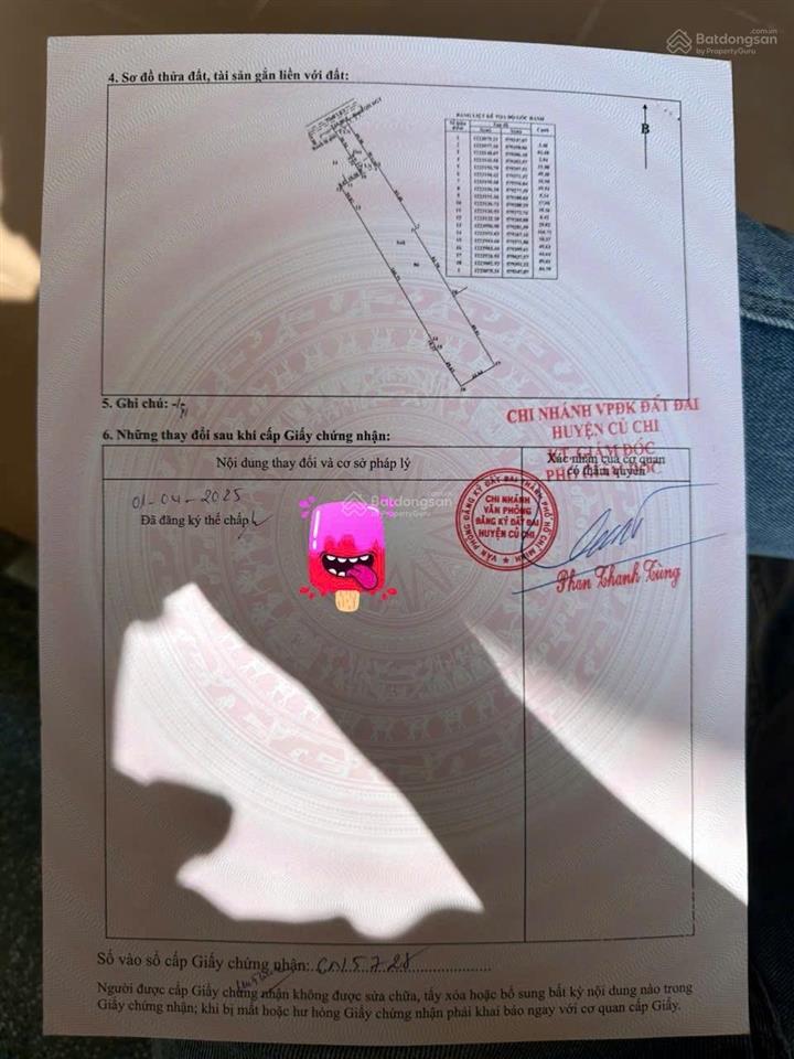 Chính chủ bán gấp đất tỉnh lộ 7 củ chi trục chính dt  19.000m2 có thổ cư