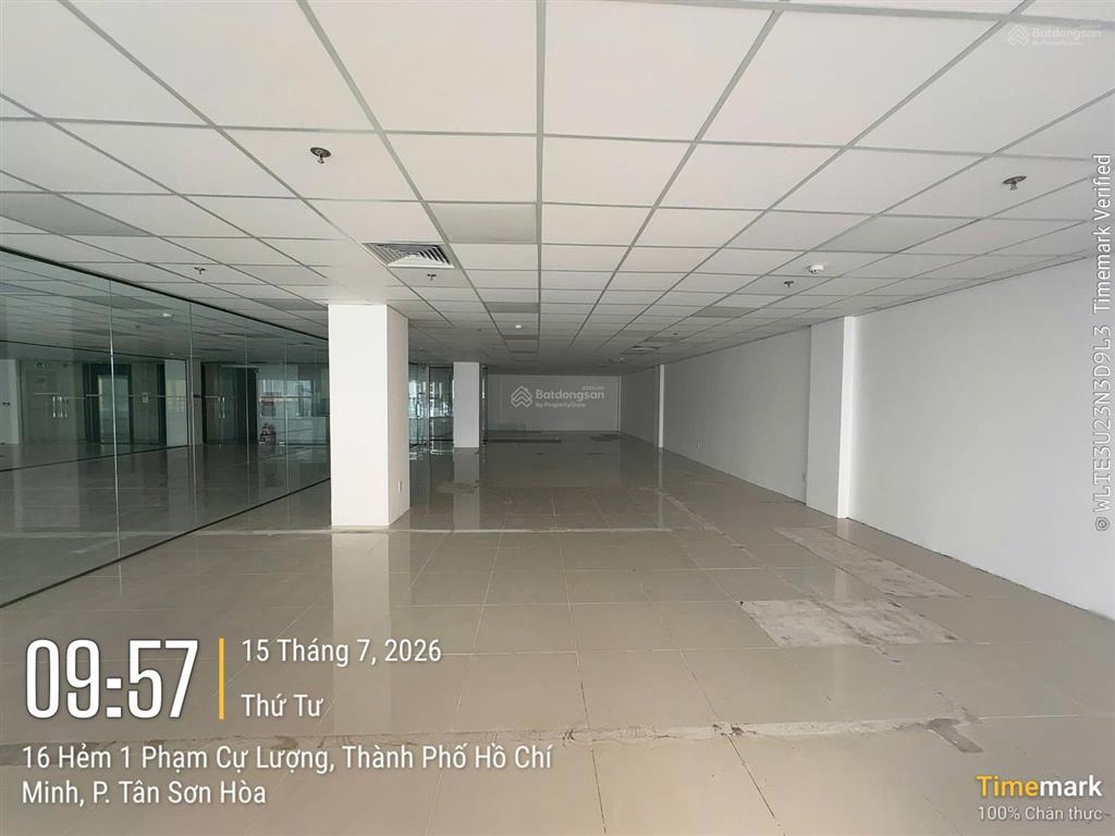 Cho thuê mb văn phòng 100m2 tòa mộc gia building phổ quang, tân bình giá tốt
