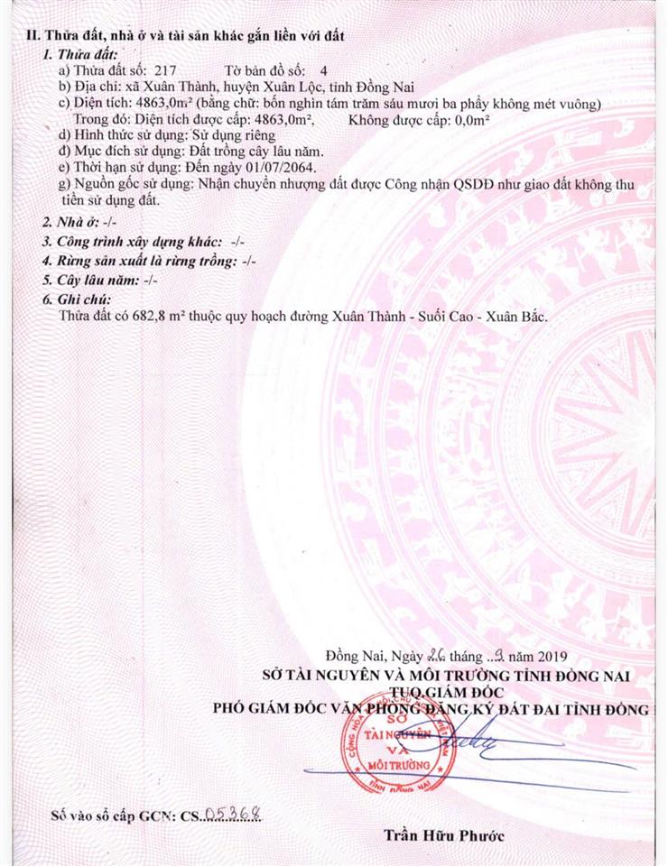 CHÍNH CHỦ CẦN BÁN GẤP ĐẤT MẶT TIỀN ĐƯỜNG NHỰA XUÂN THÀNH – SUỐI CAO, XÃ XUÂN THÀNH, HUYỆN