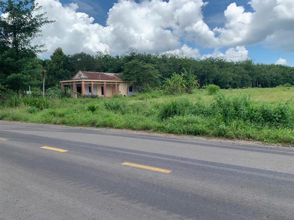 BÁN QUỸ ĐẤT 2,35 HA MẶT TIỀN ĐƯỜNG NHỰA – PHƯỜNG LONG NGUYÊN, TP HỒ CHÍ MINH