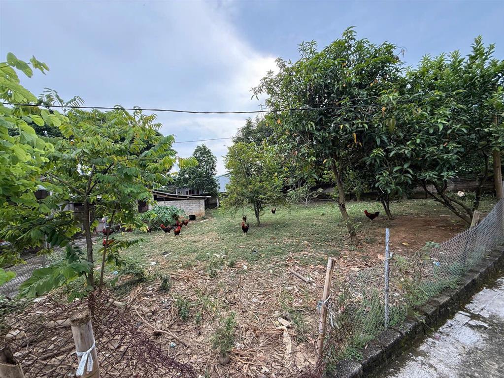 BÁN ĐẤT TẶNG NHÀ CẤP 4 - HƠN 500M² - TẠI BẢO THANH, PHÙ NINH, PHÚ THỌ