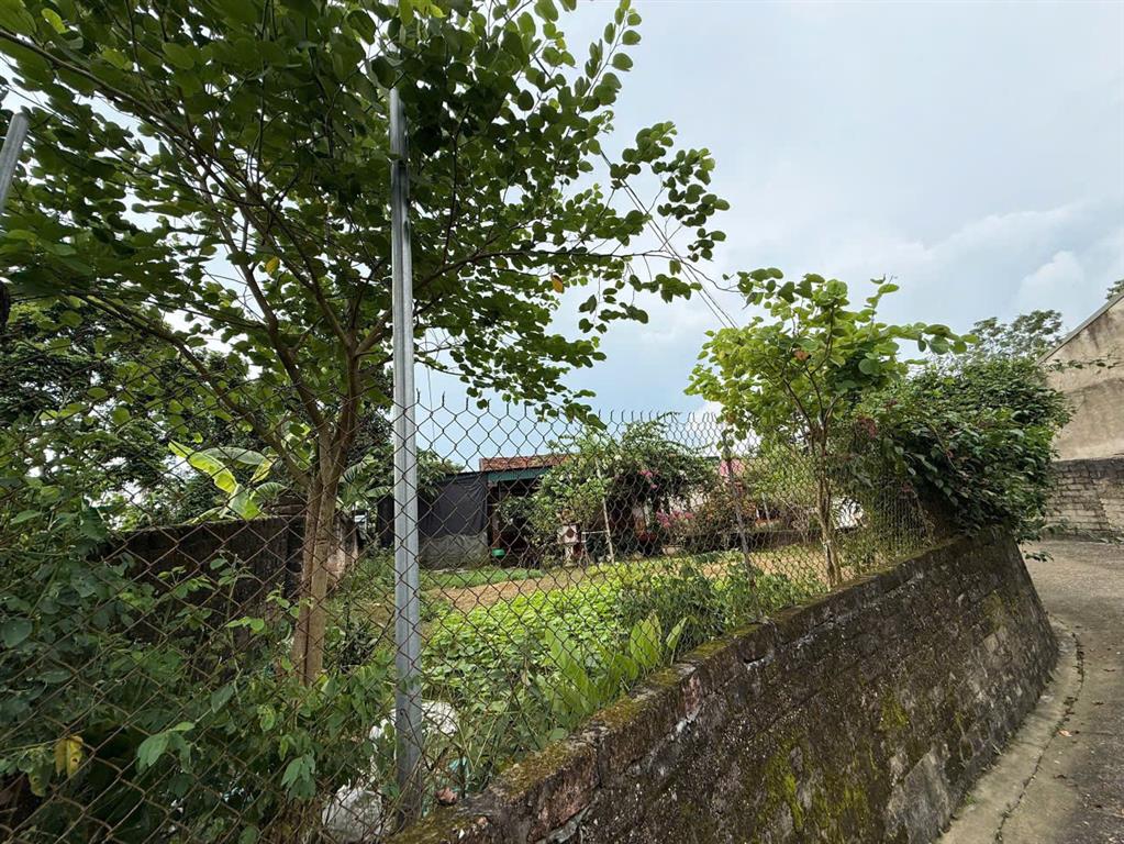 BÁN ĐẤT TẶNG NHÀ CẤP 4 - HƠN 500M² - TẠI BẢO THANH, PHÙ NINH, PHÚ THỌ