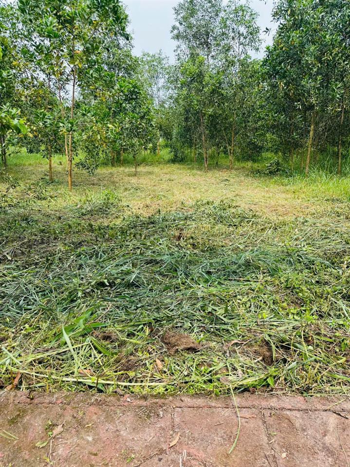 CHÍNH CHỦ BÁN ĐẤT 100M² FULL THỔ CƯ – GIÁ 1,6 TỶ – XÃ AN VIỄN, ĐỒNG NAI