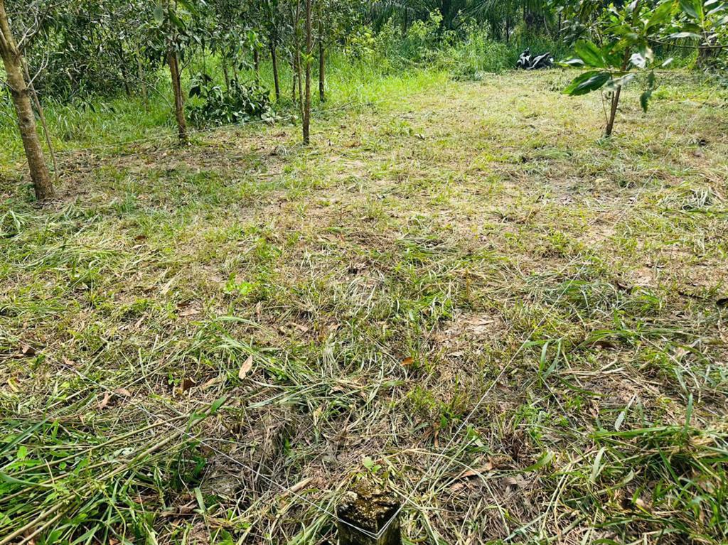 CHÍNH CHỦ BÁN ĐẤT 100M² FULL THỔ CƯ – GIÁ 1,6 TỶ – XÃ AN VIỄN, ĐỒNG NAI