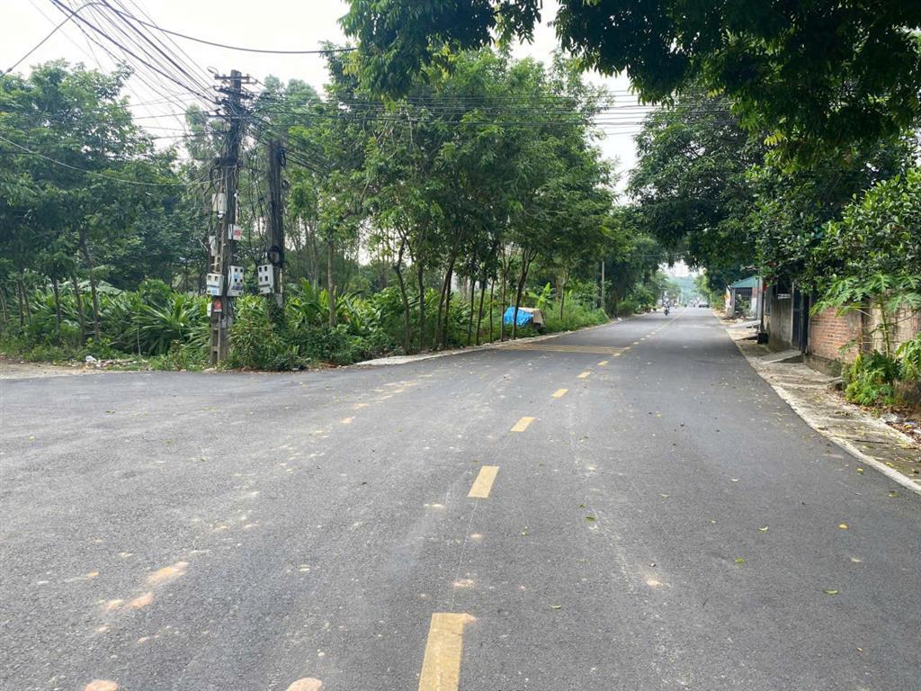 CHÍNH CHỦ CẦN TIỀN – BÁN LỖ ĐẤT THANH ĐÌNH, VIỆT TRÌ