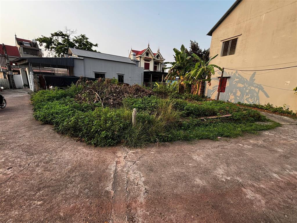 CHÍNH CHỦ CẮT LỖ ĐẤT 3 MẶT TIỀN – VỊ TRÍ ĐẸP, TIỀM NĂNG ĐẦU TƯ CAO - 71M² TẠI TÂN DĨNH,