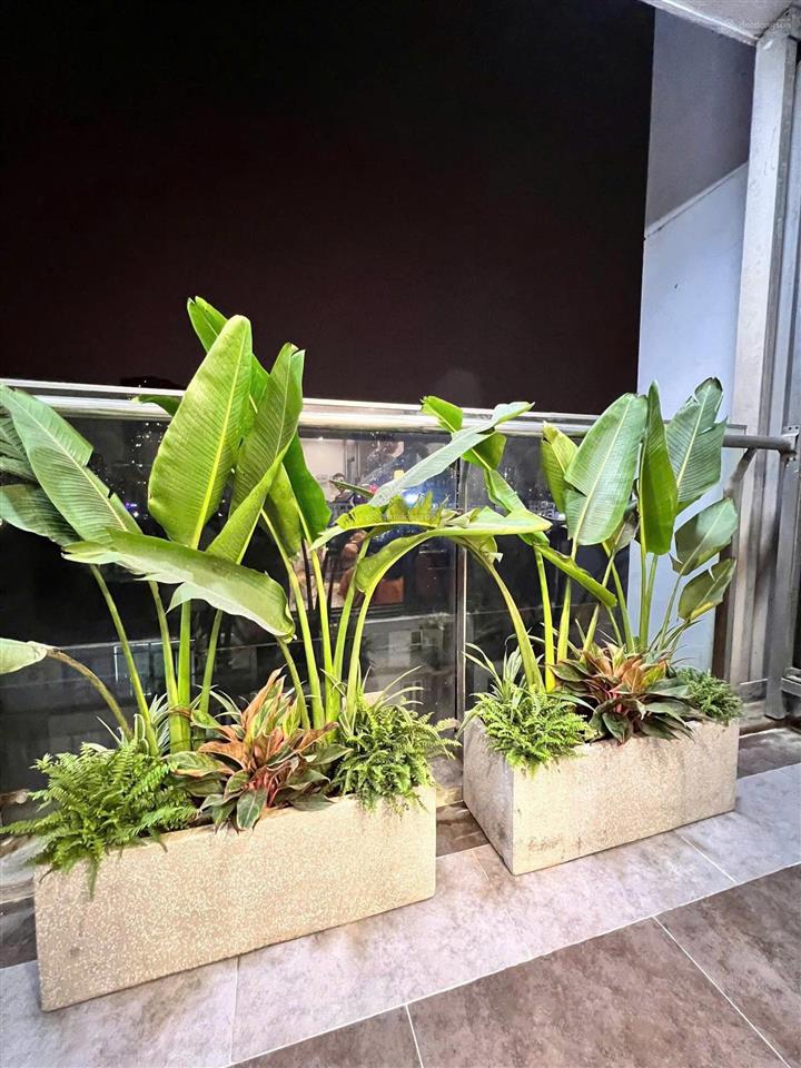 [giá tốt nhất] tôi cho thuê căn 3 ngủ, dt 130m cực rộng, nhà thoáng mát giá 20tr/th tại golden palm