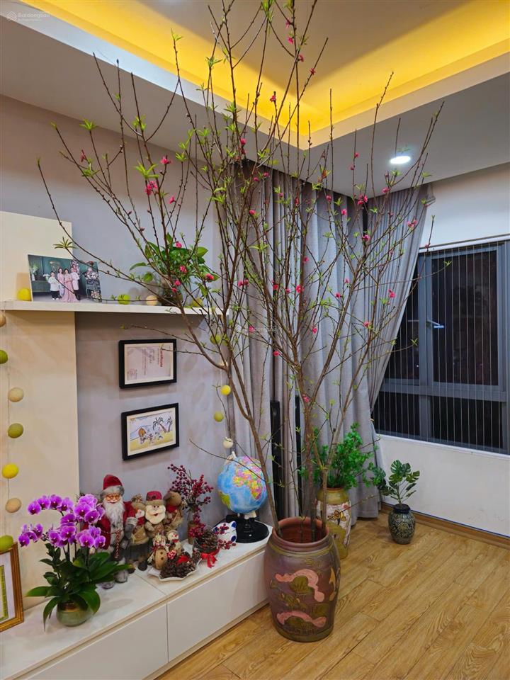 [giá tốttầng 12] tôi cho thuê căn 2 ngủ 2 vs, dt 90m, nhà thoáng mát giá 13tr/th tại mulberry lane