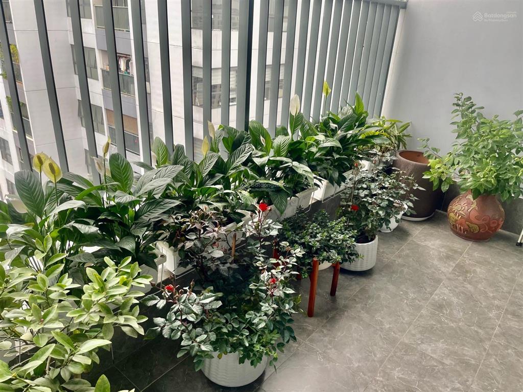 Giá tốttôi cho thuê căn góc 3 ngủ, 2vs, dt 115m2, nhà thoáng mát, ở thích giá 18tr/th tại stellar