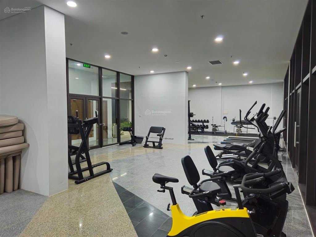 Chính chủ cho thuê căn góc 2pn opal skyline giá rẻ, chốt ngay khi xem nhà