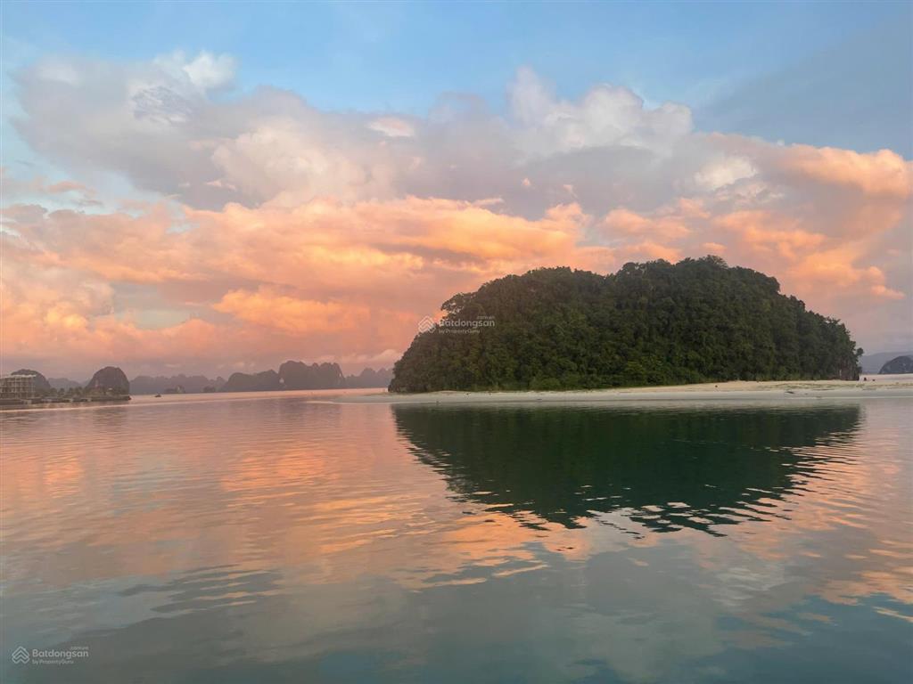 Sở hữu căn hộ view vịnh đã bàn giao full giá 2,2ty nhận ngay dòng tiền 8%/năm  đón sóng du lịch hè