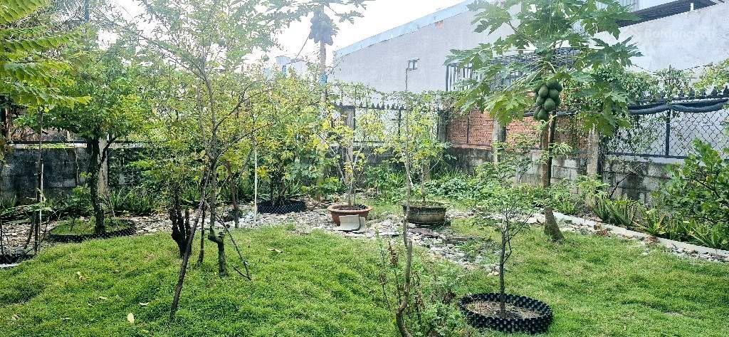 Biệt thự sân vườn hẻm xe hơi tx25 505m2 giá 11.8 tỷ thương lượng diện tích 11x41m (505m2)