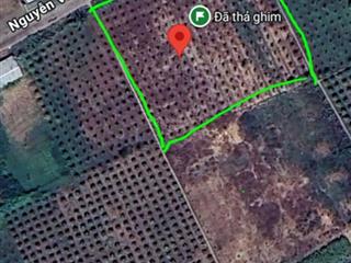 Đất mặt tiền đường nguyễn văn trỗi, thị trấn ma lâm