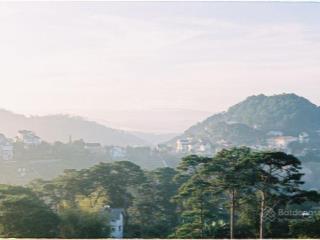 Đất view đồi thông, phù hợp đầu tư và xây dựng khách sạn