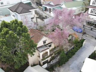 Bán villa sân vườn 400m2 đường hùng vương, phường 9, đà lạt