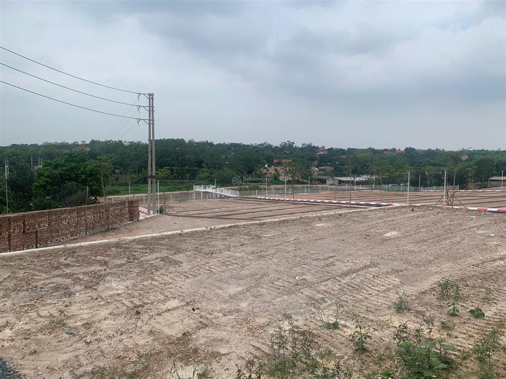 Bán đất tại xã cẩm lĩnh, 1,35 tỷ, 100m2, đất thổ cư hàng hiếm