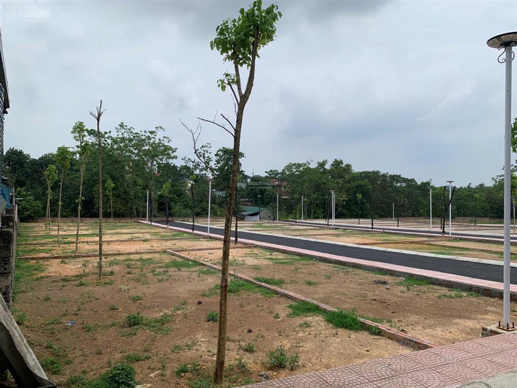 Bán đất tại xã cẩm lĩnh, 1,35 tỷ, 100m2, đất thổ cư hàng hiếm