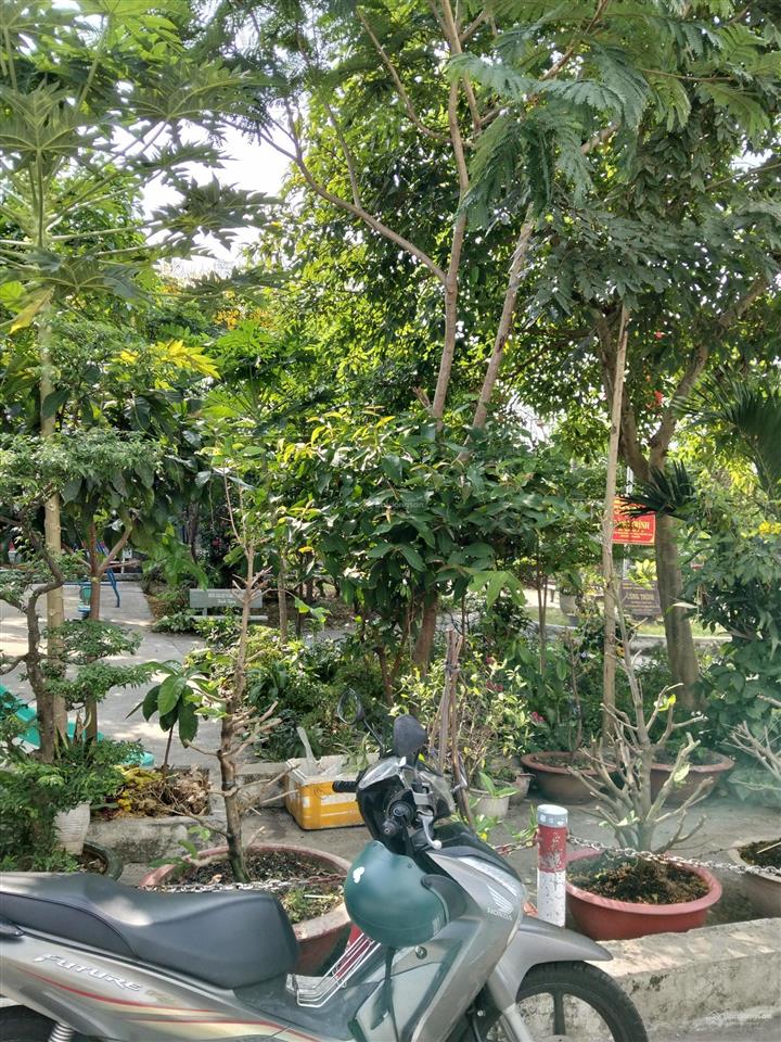 Nhà 4 tầng btct phạm thế hiển  xe hơi ngủ nhà  view công viên  60m2 hoàn công đủ ko quy hoạch.