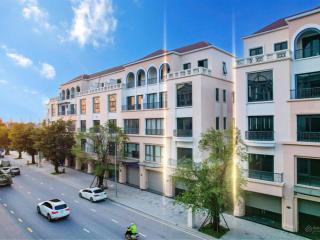 Tôi chính chủ cần bán gấp cắt lỗ 3.5 tỷ lk trục kinh doanh 30m vin ocean park 2, dt 115m2 giá 13tỷ