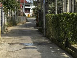 Lô đất nằm ngay rừng dừa cẩm thanh