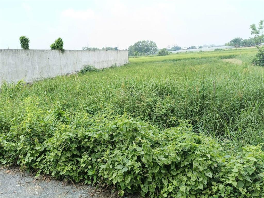 Bán đất 500m2 tại tân phú trung, củ chi, 4 tỷ vnd, mặt tiền 17m, ngõ rộng 4m đẹp