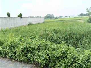 Bán đất 500m2 tại tân phú trung, củ chi, 4 tỷ vnd, mặt tiền 17m, ngõ rộng 4m đẹp