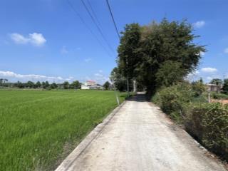 Lô đất cách ql55 100m  trung tâm tt. đất đỏ  gần kcn đất đỏ