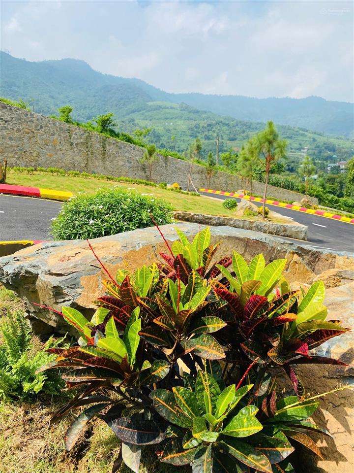 Đồng vỡ phú mãn | chạm vào giấc mơ sống chậm giữa thiên nhiên