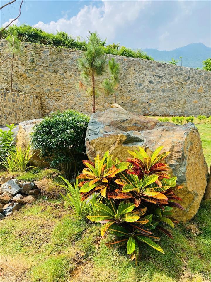 Đồng vỡ phú mãn | chạm vào giấc mơ sống chậm giữa thiên nhiên