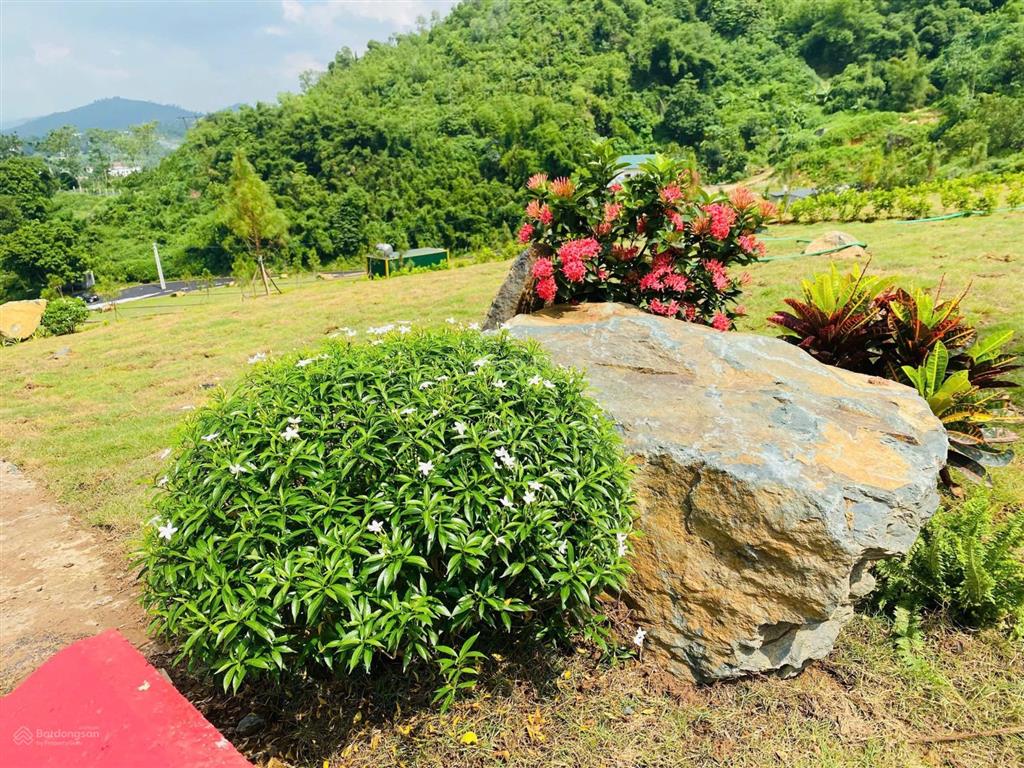 Đồng vỡ phú mãn | chạm vào giấc mơ sống chậm giữa thiên nhiên