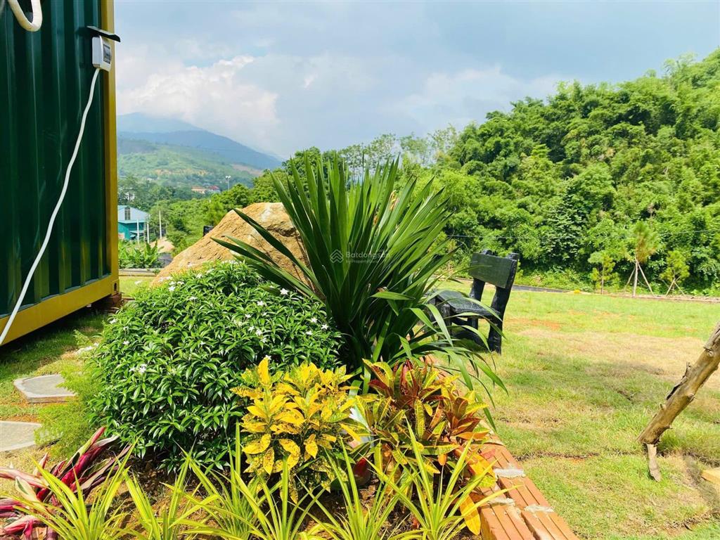 Đồng vỡ phú mãn | chạm vào giấc mơ sống chậm giữa thiên nhiên