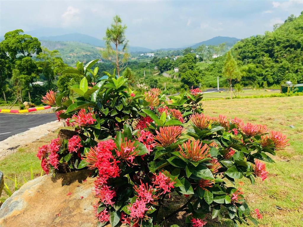 Đồng vỡ phú mãn | chạm vào giấc mơ sống chậm giữa thiên nhiên