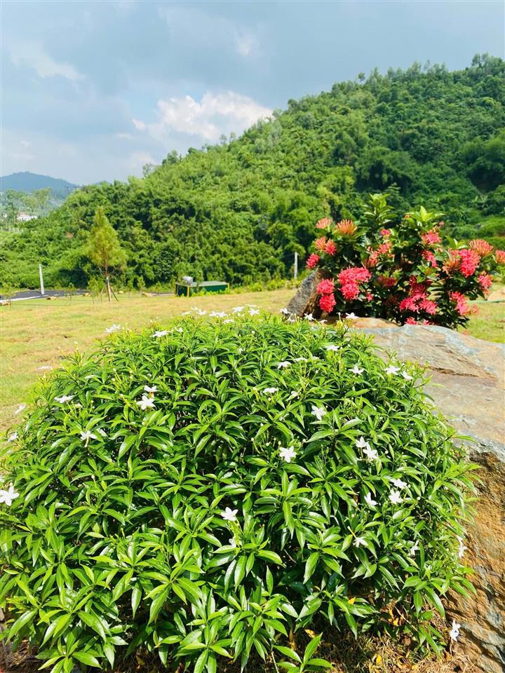 Đồng vỡ phú mãn | chạm vào giấc mơ sống chậm giữa thiên nhiên