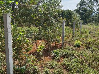 Bán đất khu vườn đỏ  vân hoà  phú yên