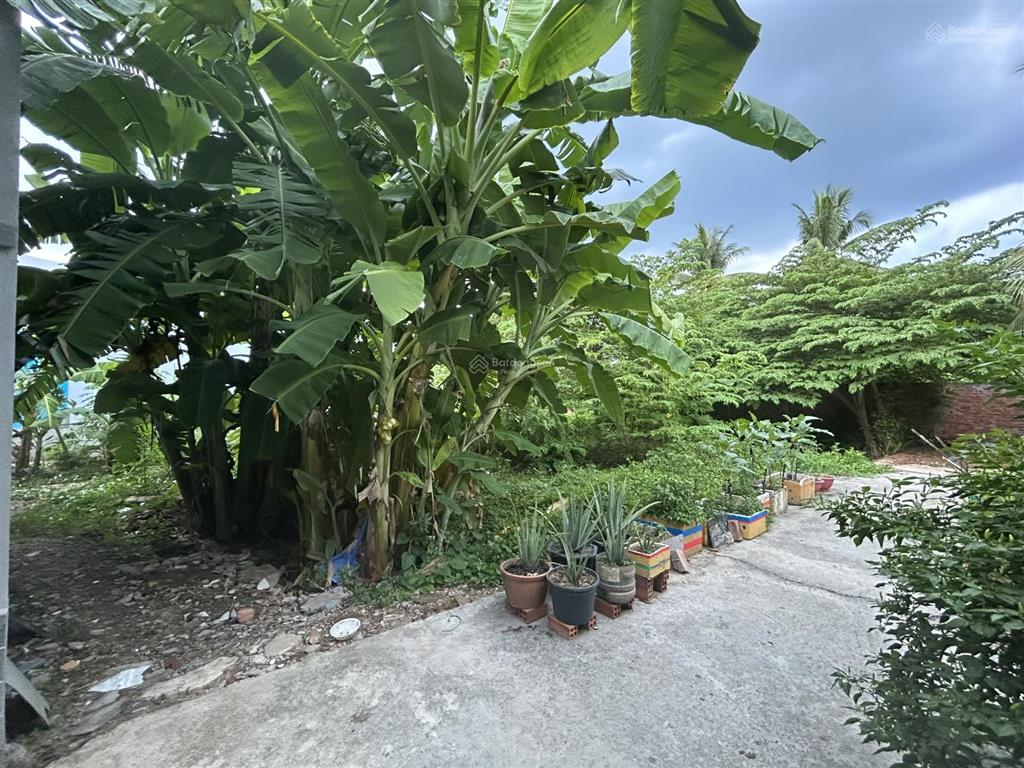 Bán đất 61.6m2 tại nguyễn công bình, xã trung an, thành phố mỹ tho, giá cực chất 750 triệu