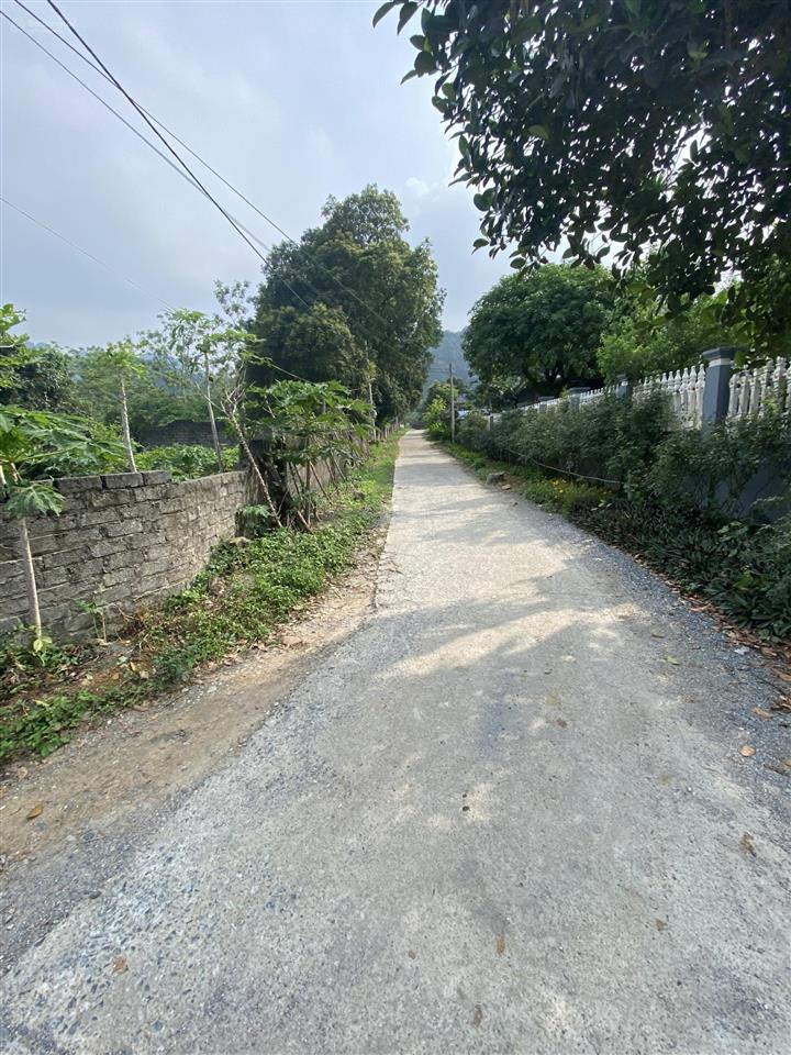 Cần bán nhanh mảnh đất 5000m2