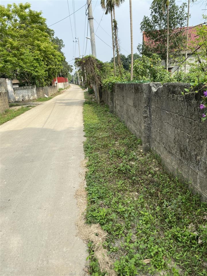 Bán nhanh mảnh đất tại liên sơn