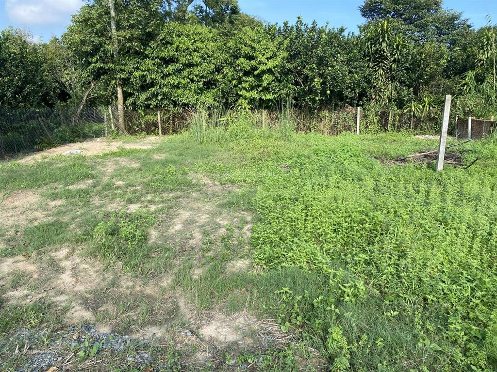 8.5 x 23m full thổ cư, đường nhựa qh 20m
