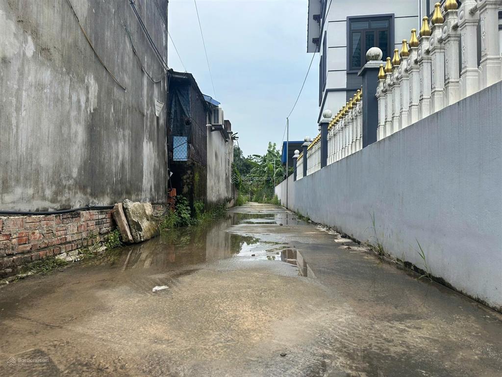 Lô đất cực đẹp tại toàn thắng, kim động, hưng yên