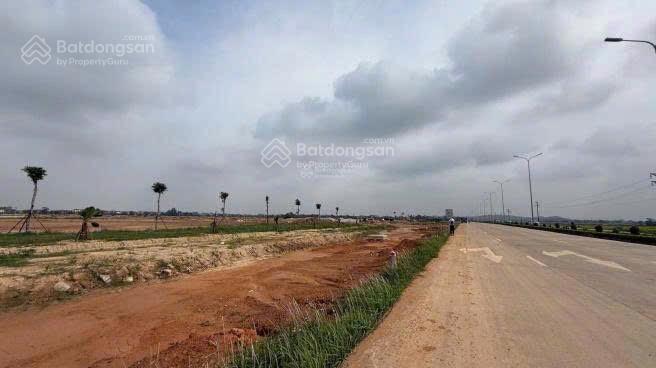 Đất nhà xưởng kho bãi, nhà máy