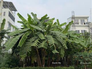 Bán gấp nền 6x20m khu đông thủ thiêm, btđ vị trí đẹp gần sông mát mẻ xd hầm 4 tầng