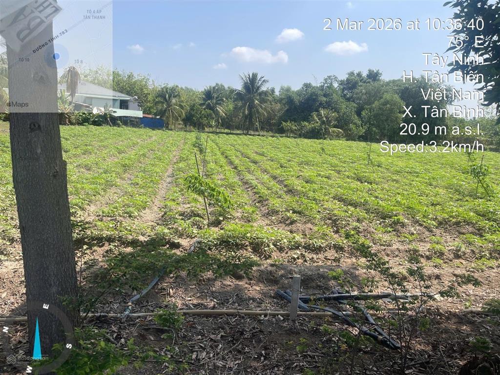 Bán gấp đất tại ấp tân thạnh, đt 783, tân biên, tây ninh, 2,2 tỷ, 1794 m2, 400 tc