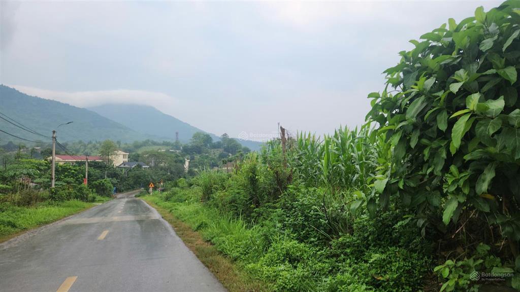 Chính chủ cần bán lô đất thuộc minh quang, ba vì, có thể làm nghỉ dưỡng hoặc kho xưởng đều tiện