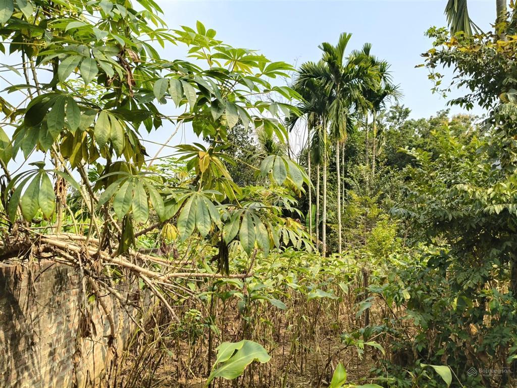 Tôi cần chuyển nhượng lô đất mặt đường trung tâm gần chợ, trường học, giá đầu tư