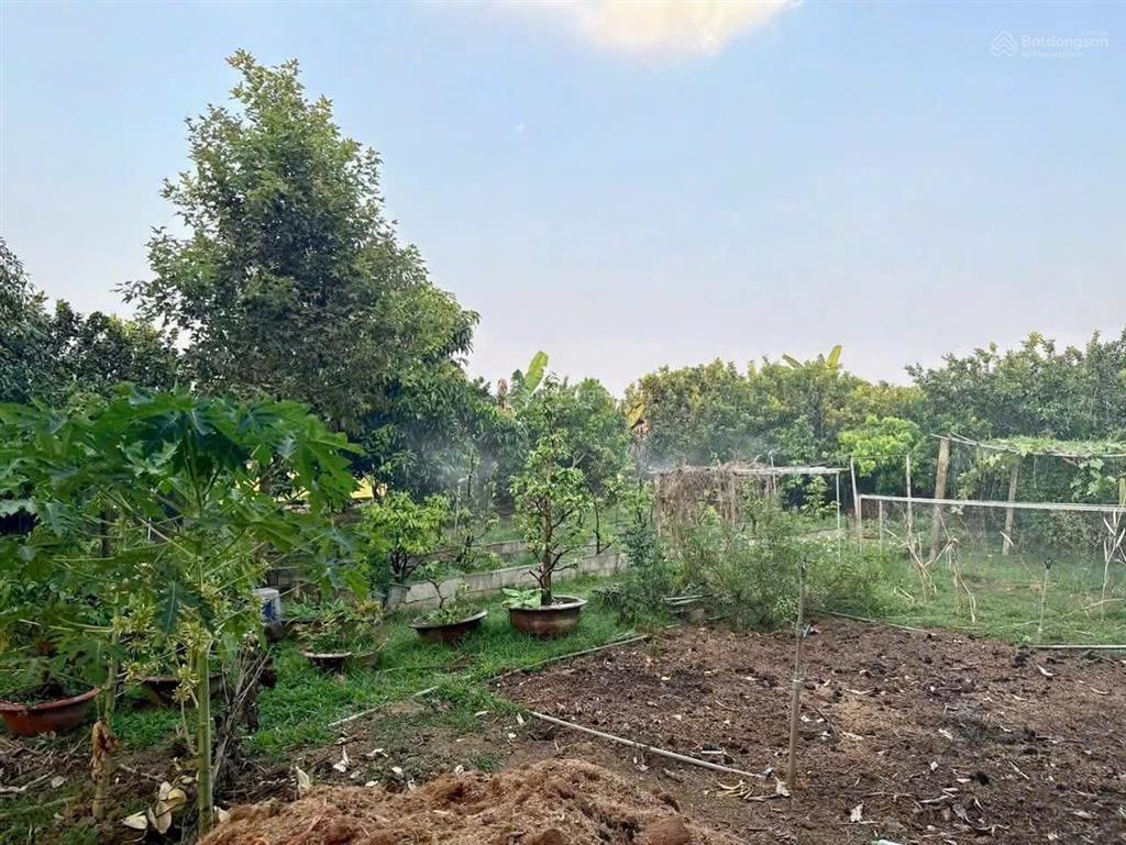 Bán nhà vườn hơn 2,6 sào gần đường ông binh, tân triều  vĩnh cửu
