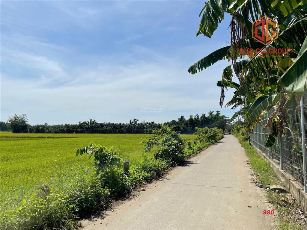 Bán nhà vườn hơn 2,6 sào gần đường ông binh, tân triều  vĩnh cửu