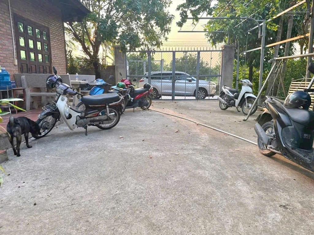 Bán nhà vườn hơn 2,6 sào gần đường ông binh, tân triều  vĩnh cửu