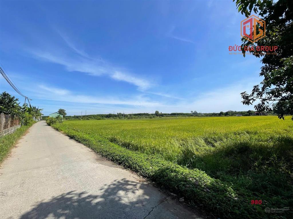 Bán nhà vườn hơn 2,6 sào gần đường ông binh, tân triều  vĩnh cửu