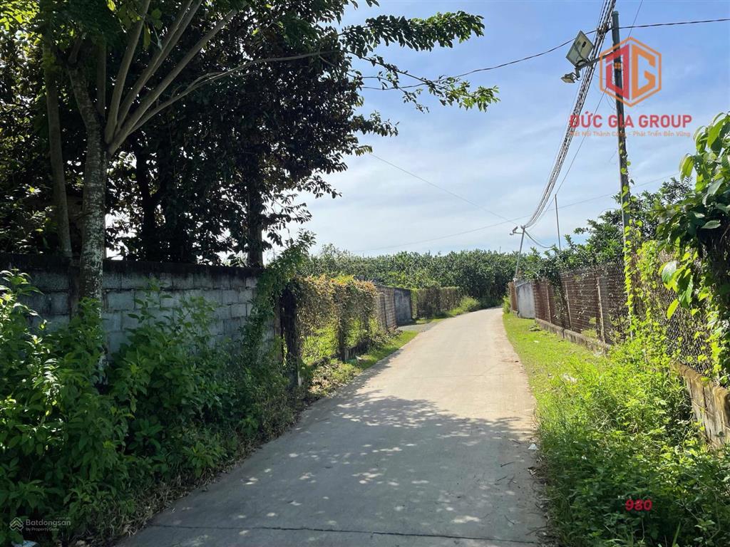 Bán nhà vườn hơn 2,6 sào gần đường ông binh, tân triều  vĩnh cửu